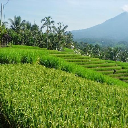 Zen Rooms Badung Nyangnyang Sari Kuta  Exterior photo