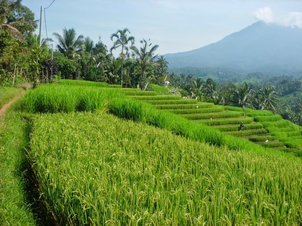 Zen Rooms Badung Nyangnyang Sari Kuta  Exterior photo